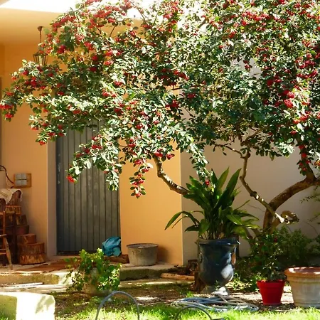 A 2 Pas Du Pont Du Gard Tatil Evi Vers Pont du Gard